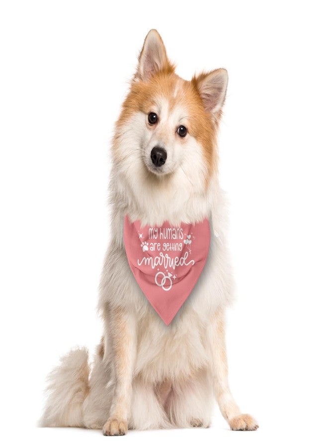 ZPPRJF My Humans are Getting Married Pink Dog Wedding Scarf for Dog Lover - Fits Small to Large Dogs (E46) - Image 2